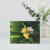 Flower Delivery Briefkaart (Staand voorkant)