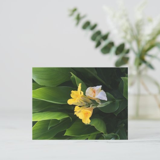 Flower Delivery Briefkaart (Staand voorkant)