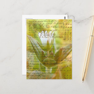 Flower en  script briefkaart