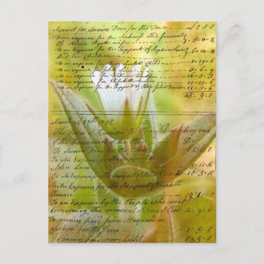 Flower en  script briefkaart (Voorkant)