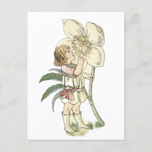 Flower Fairy gevouwen Briefkaart