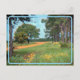  Flower Field Briefkaart