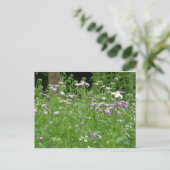 flower field postcard briefkaart (Staand voorkant)