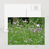 flower field postcard briefkaart (Voorkant / Achterkant)