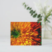 Flower Fireworks-Briefkaart Briefkaart (Staand voorkant)