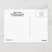 Flower Fireworks-Briefkaart Briefkaart (Achterkant)
