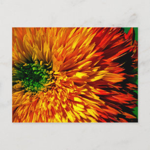 Flower Fireworks-Briefkaart Briefkaart