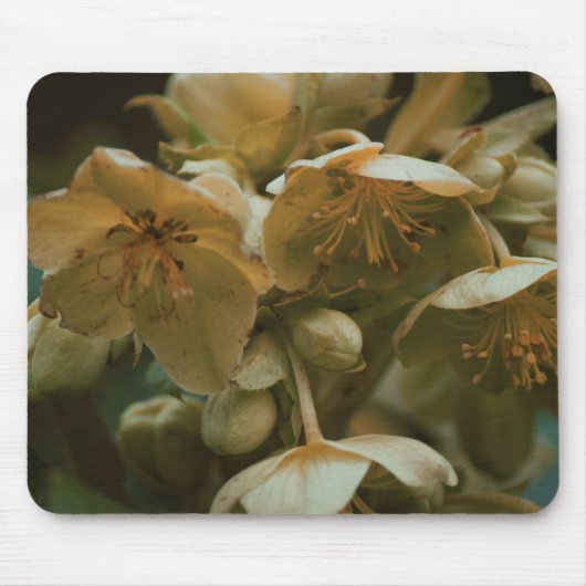 Flower floral Mousepad Muismat (Voorkant)