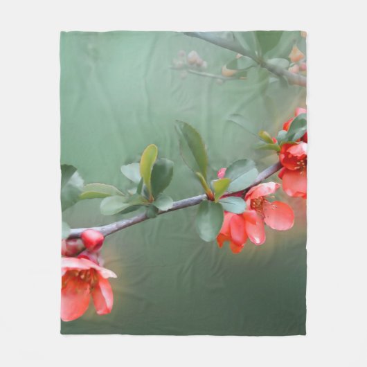 Flower flowers quince bush spring fleece deken (Voorkant)
