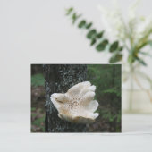 Flower Fungus Briefkaart (Staand voorkant)