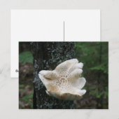 Flower Fungus Briefkaart (Voorkant / Achterkant)