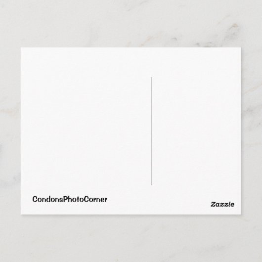 Flower Fungus Briefkaart (Achterkant)