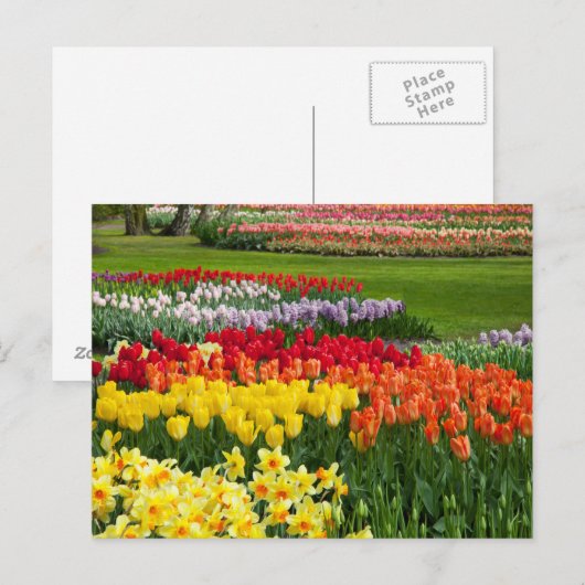 Flower Garden Briefkaart (Voorkant / Achterkant)