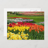 Flower Garden Briefkaart (Voorkant / Achterkant)