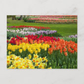Flower Garden Briefkaart (Voorkant)