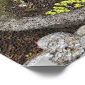 Flower Garden Fairy Houtskool Fotoschilderij Poster (Hoek)