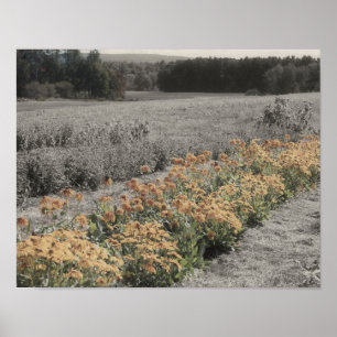 Flower Garden  Partiële Kleur Poster