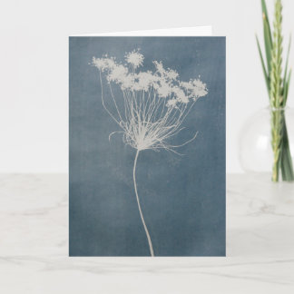 Flower Greeting Card Blank Inside  Kaart