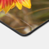 Flower in the Wind Bureaumat (Hoek)