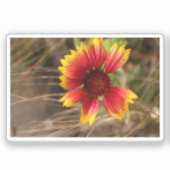 Flower in the Wind Sticker (Voorkant)