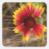 Flower in the Wind Vierkante Sticker (Voorkant)