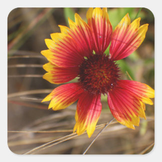 Flower in the Wind Vierkante Sticker