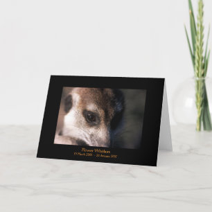 Flower - Legends Kaart