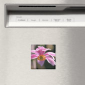 Flower Magneet (Insitu (Vaatwasser))