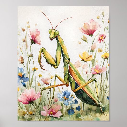 Flower Mantis Waterverf Print – Praying Mantis Po (Voorkant)