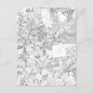 Flower Market Coloring Briefkaart