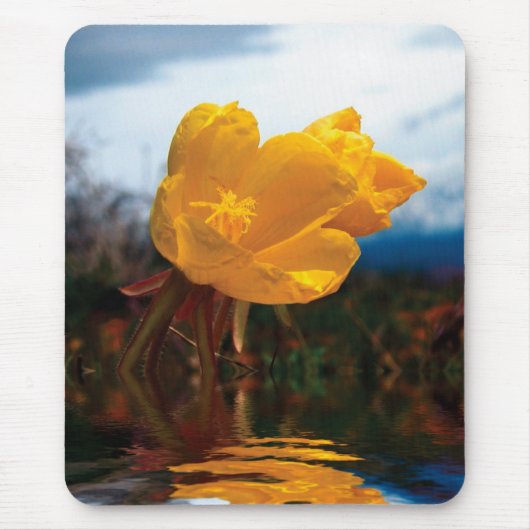 Flower Mousepad Muismat (Voorkant)