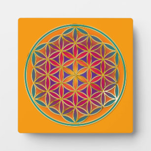 Flower Of Life - Knop Stijl 03 Fotoplaat