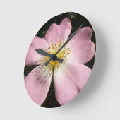 Flower of wild blossom rose ronde klok (Hoek)