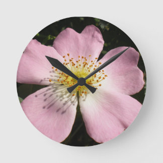 Flower of wild blossom rose ronde klok