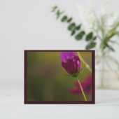 Flower Photo Postcard Feestdagenkaart (Staand voorkant)