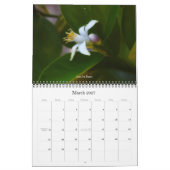 Flower Photography Calendar Kalender (Mar 2027)