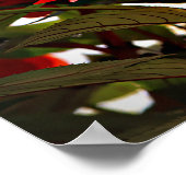 Flower Poster (Hoek)