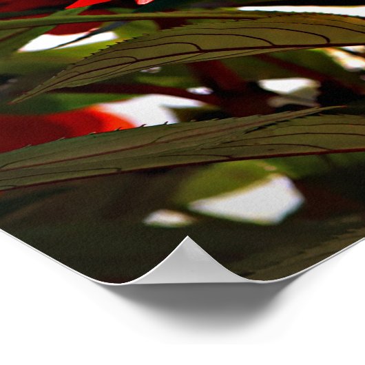 Flower Poster (Hoek)