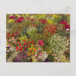 Flower Power - 10 Briefkaart