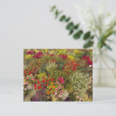 Flower Power - 10 Briefkaart (Staand voorkant)