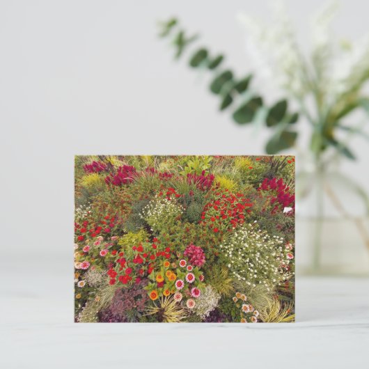 Flower Power - 10 Briefkaart (Staand voorkant)