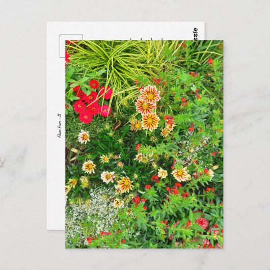 Flower Power - 11 Briefkaart (Voorkant / Achterkant)