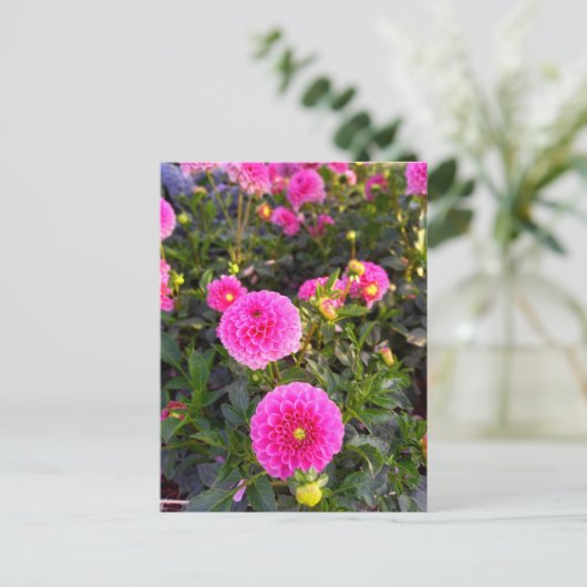 Flower Power - 12 Briefkaart (Staand voorkant)