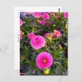 Flower Power - 12 Briefkaart (Voorkant / Achterkant)