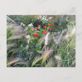 Flower Power - 13 Briefkaart