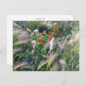 Flower Power - 13 Briefkaart (Voorkant / Achterkant)