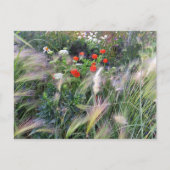 Flower Power - 13 Briefkaart (Voorkant)