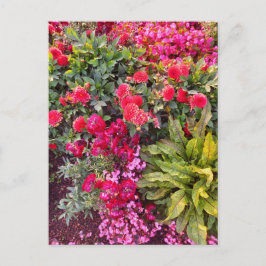 Flower Power - 14 Briefkaart