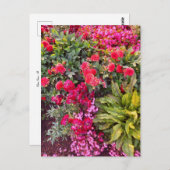 Flower Power - 14 Briefkaart (Voorkant / Achterkant)