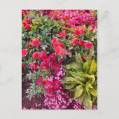 Flower Power - 14 Briefkaart (Voorkant)